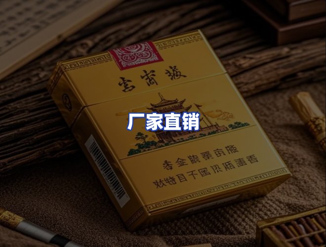 专业团队